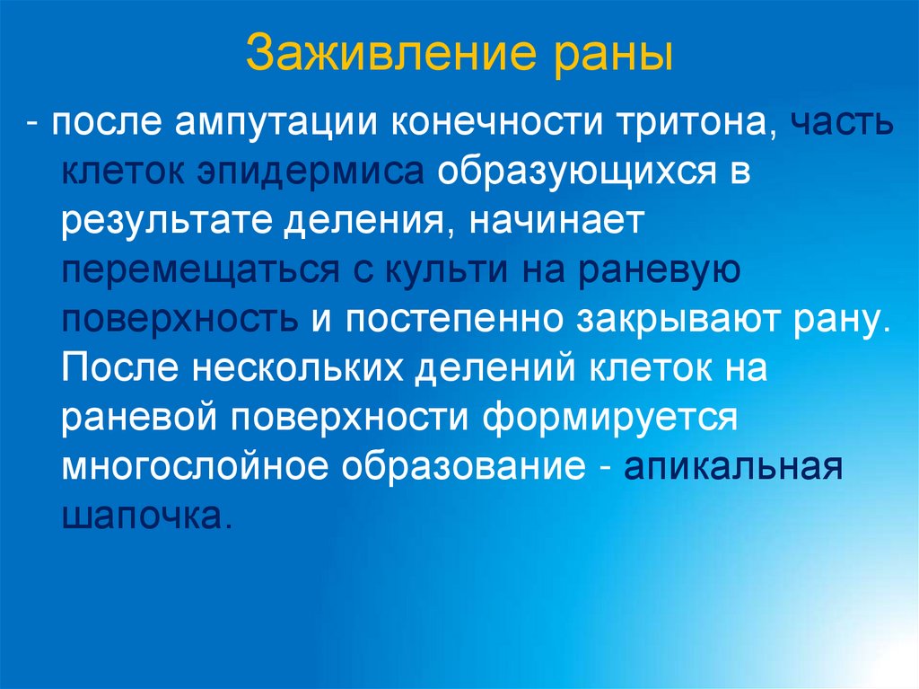 Заживление раны