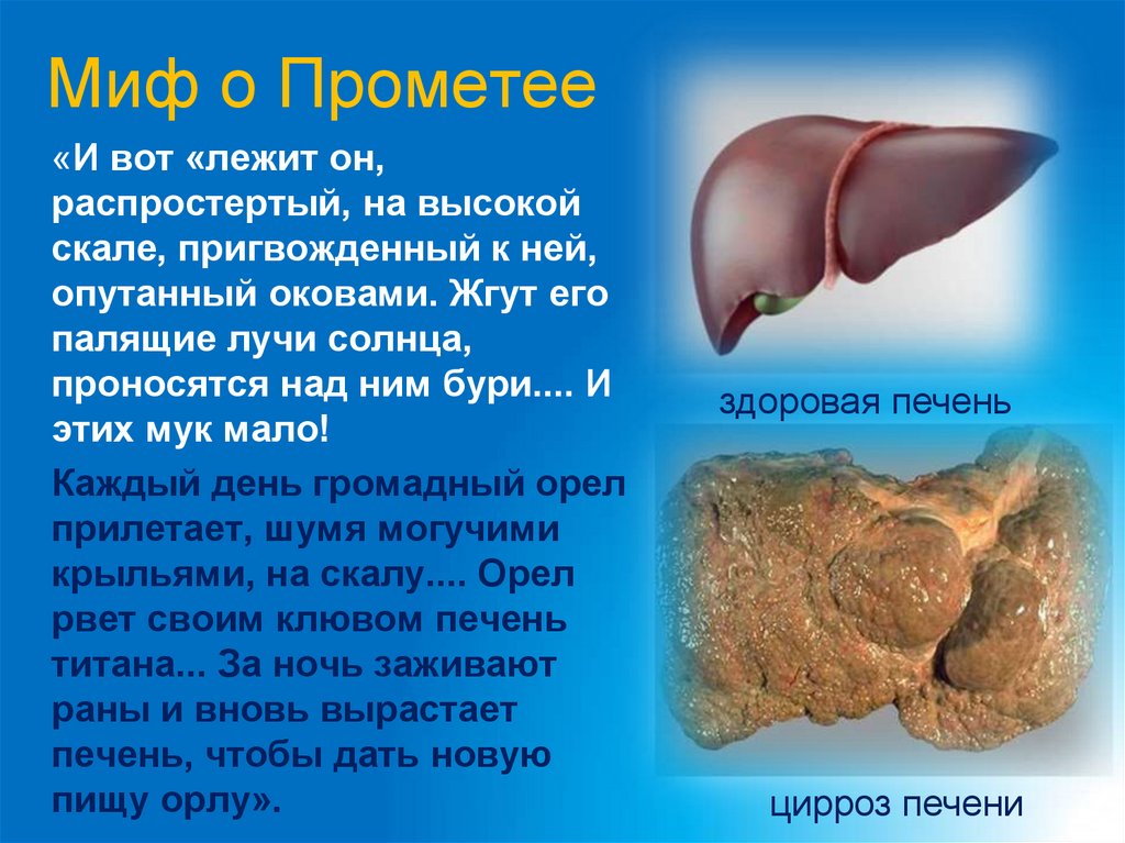 Миф о Прометее