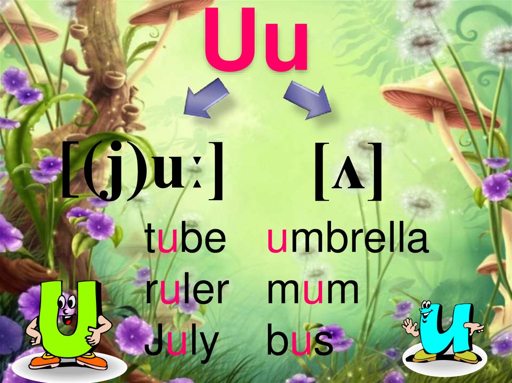 Uu