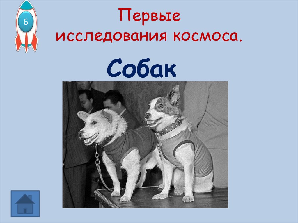 Первые исследования космоса.