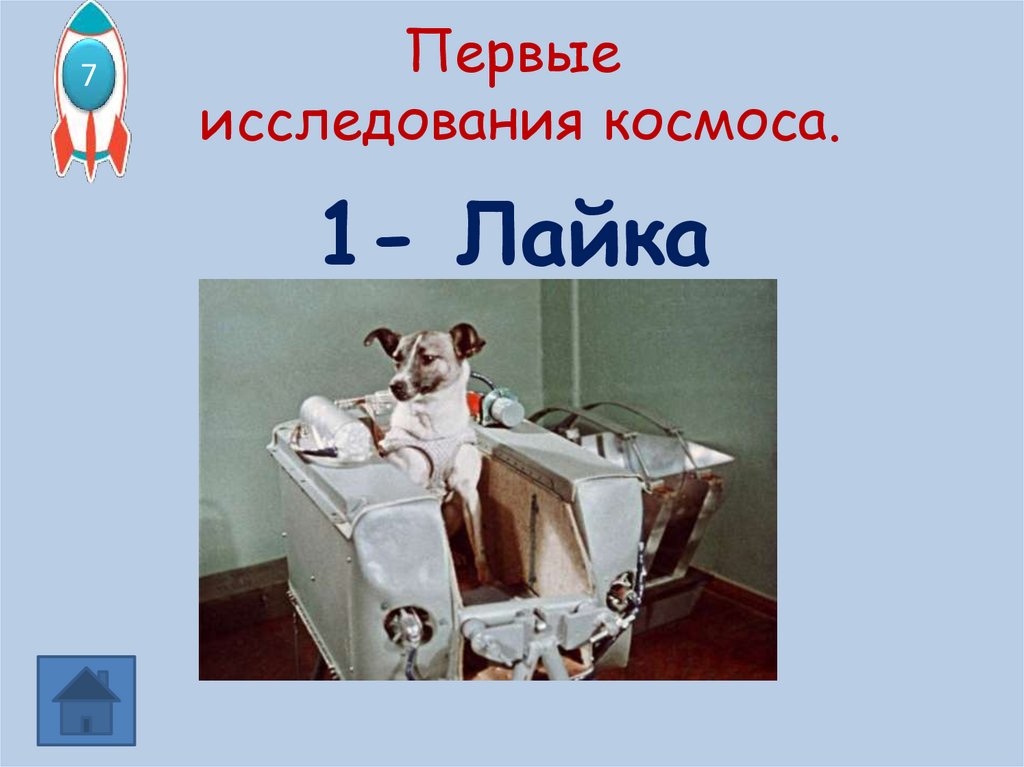 Первые исследования космоса.