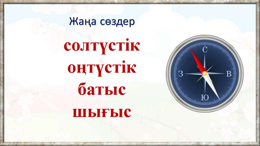 Жаңа сөздер