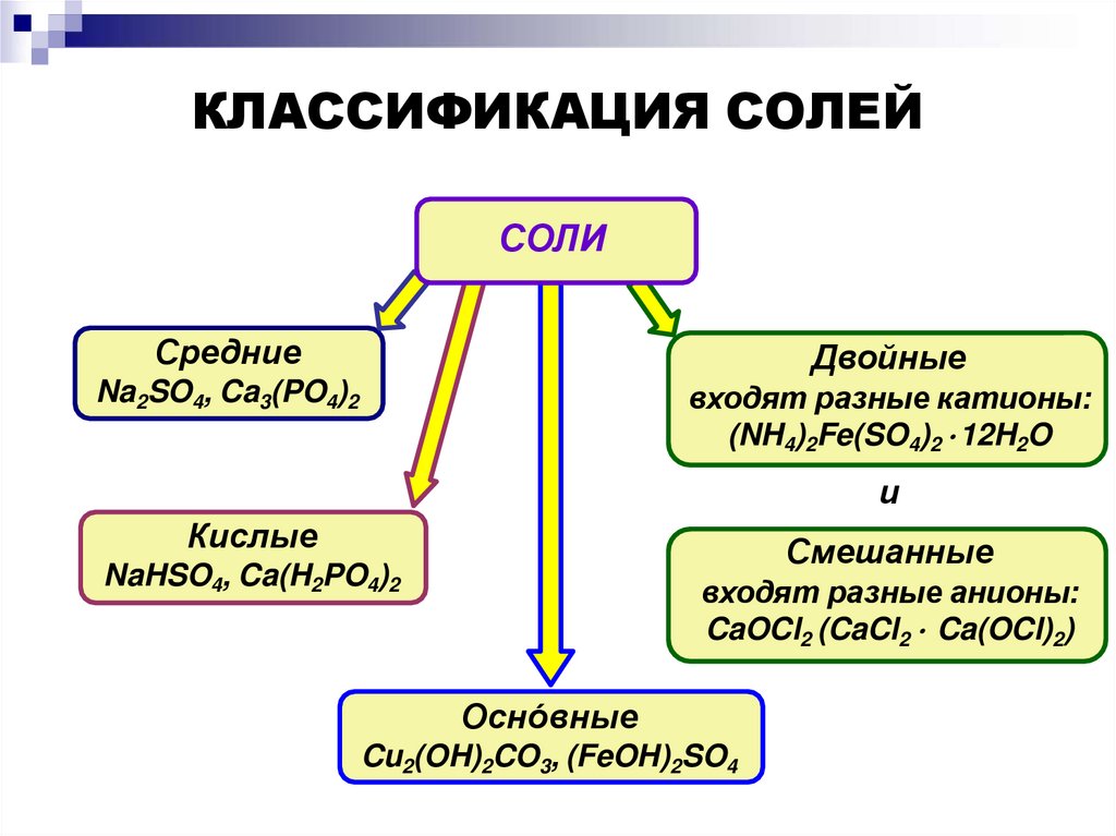 КЛАССИФИКАЦИЯ СОЛЕЙ