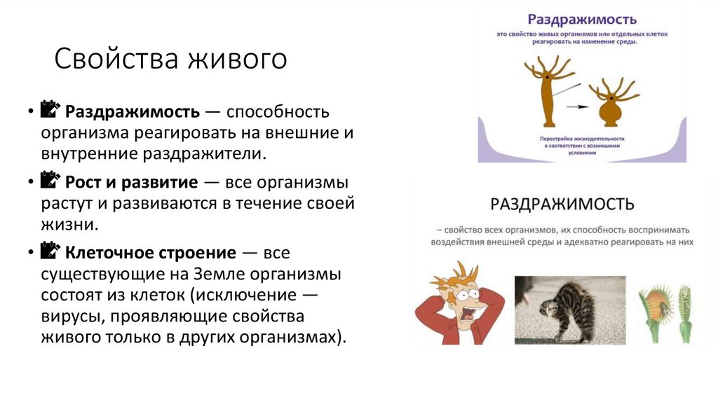 Свойства живого