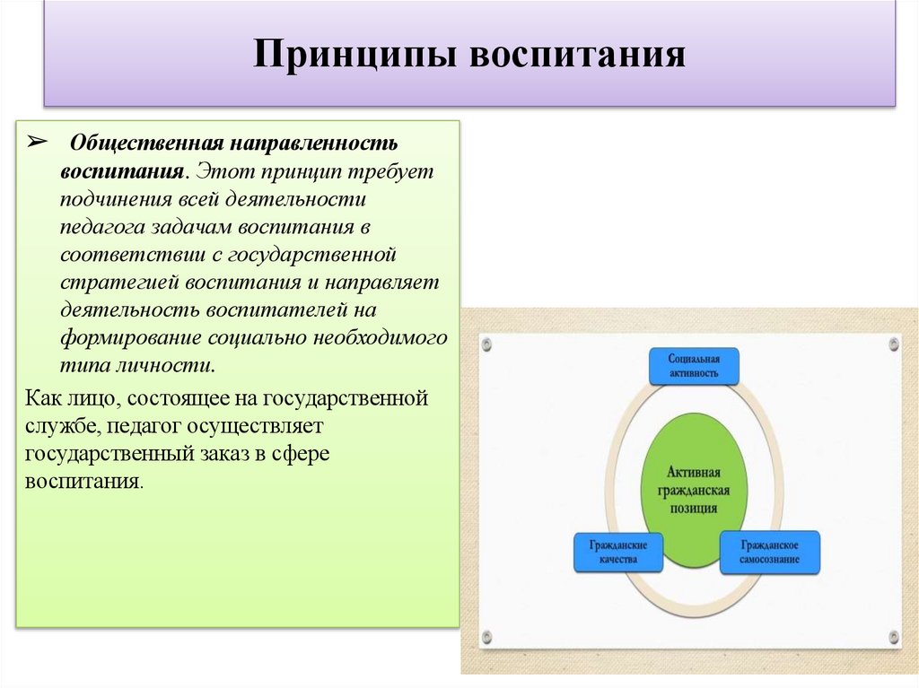 Принципы воспитания