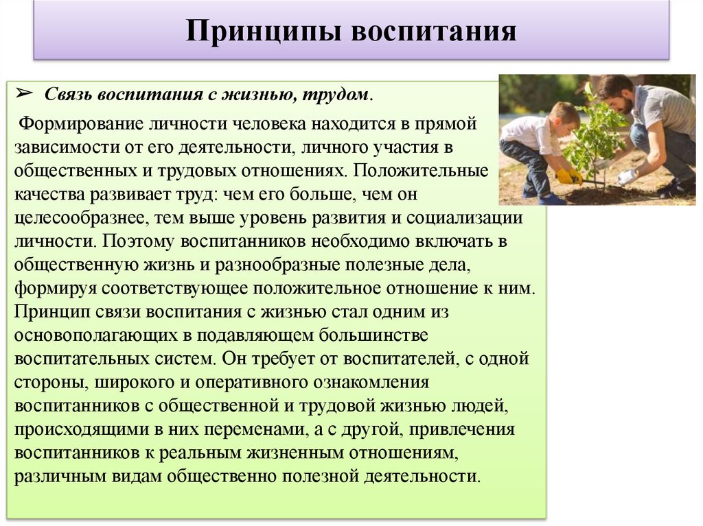 Принципы воспитания