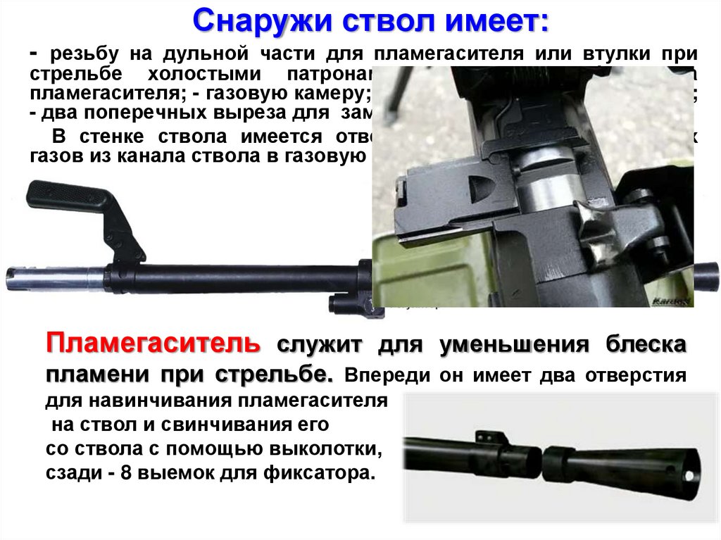 Снаружи ствол имеет: