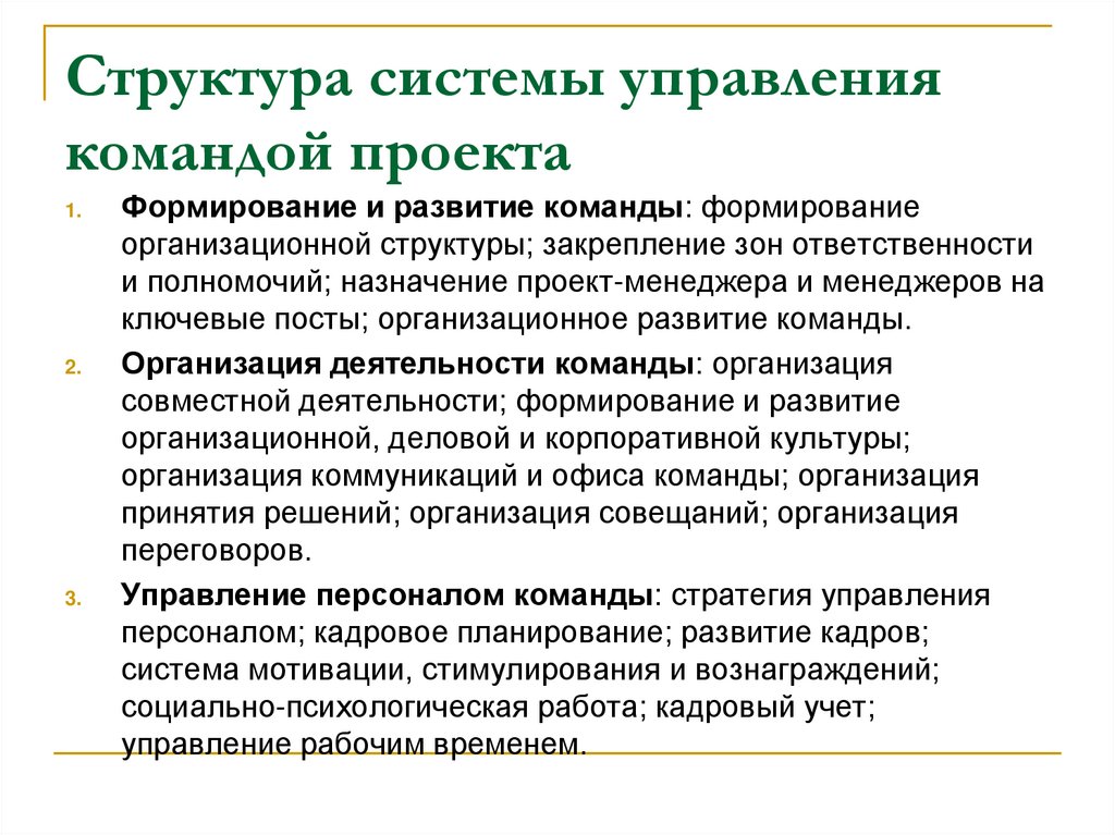 Структура системы управления командой проекта