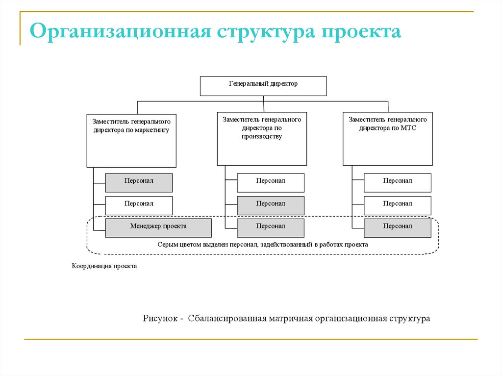 Организационная структура проекта