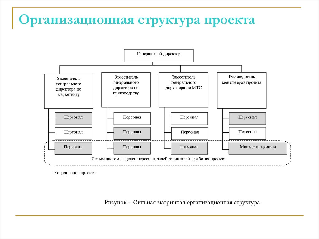 Организационная структура проекта
