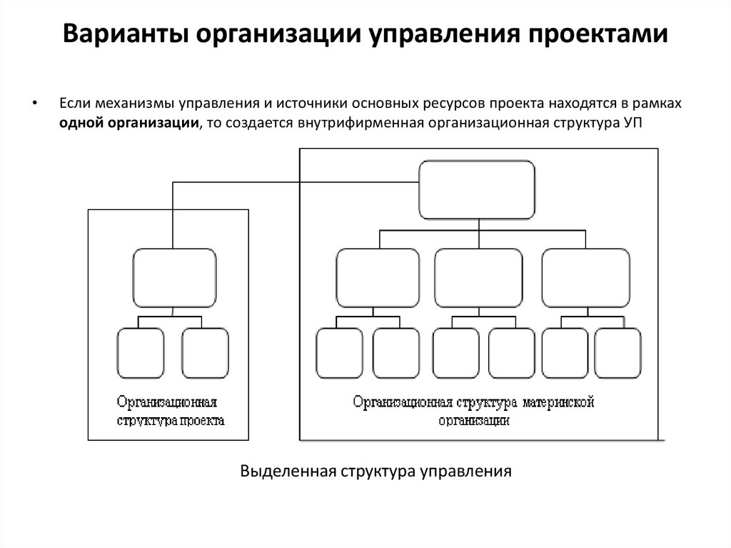 Варианты организации управления проектами