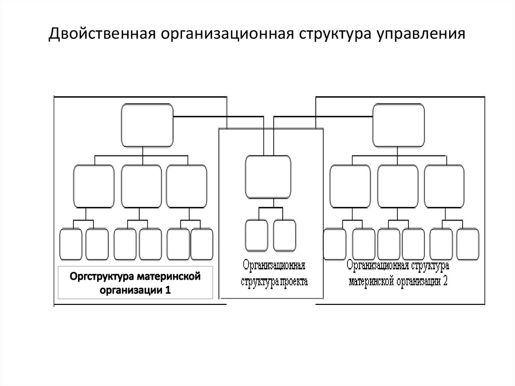 Двойственная организационная структура управления