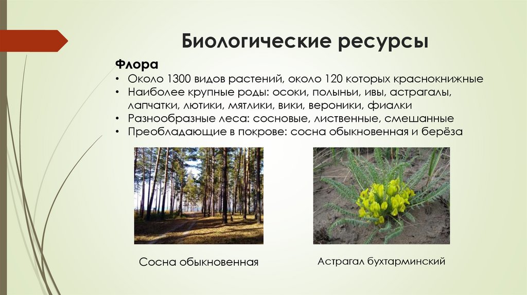 Биологические ресурсы