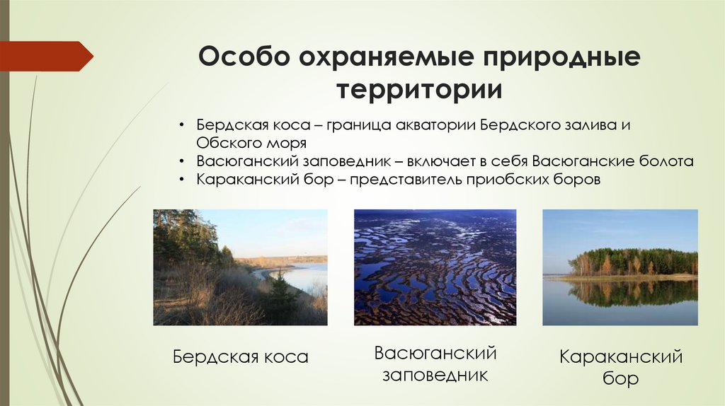 Особо охраняемые природные территории