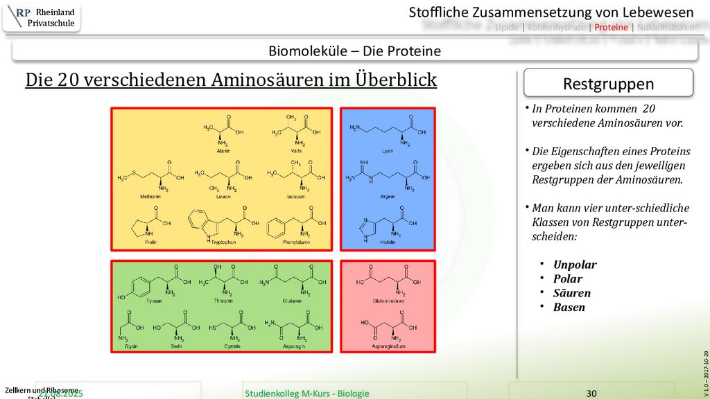Zellkern und Ribosome [Tabelle]