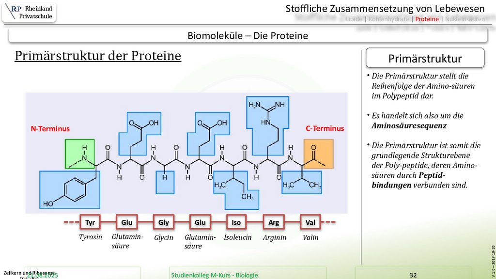 Zellkern und Ribosome [Tabelle]