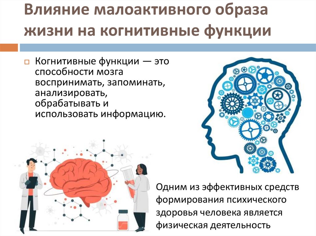 Влияние малоактивного образа жизни на когнитивные функции