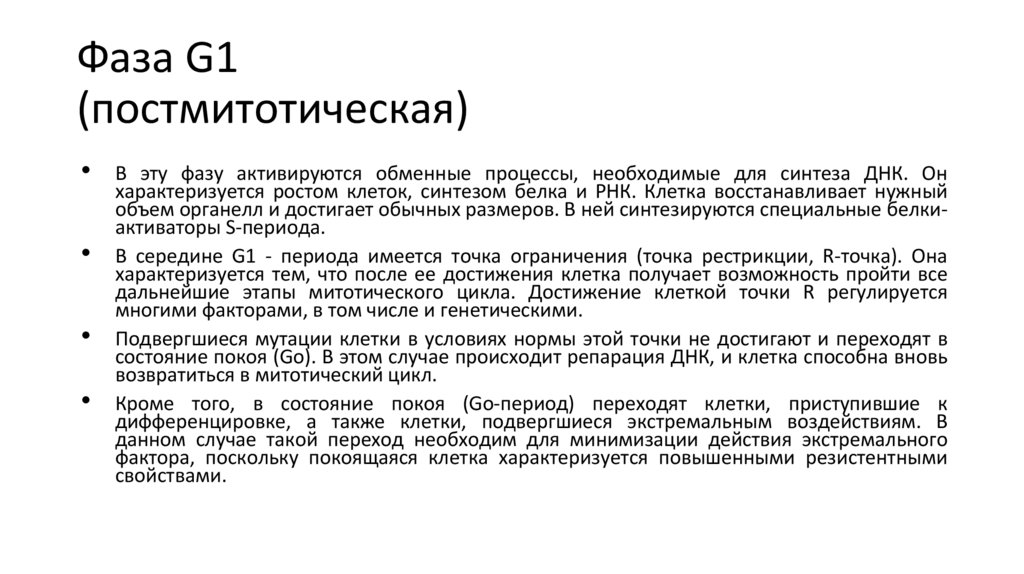 Фаза G1 (постмитотическая)