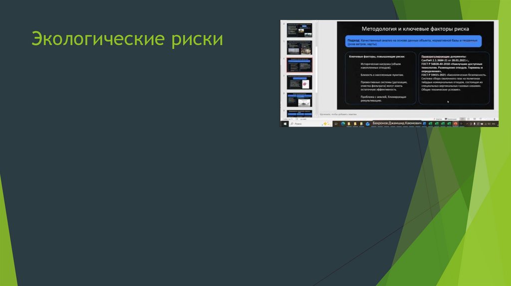 Экологические риски