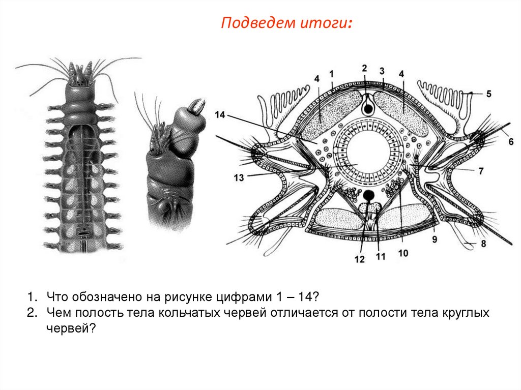 Подведем итоги: