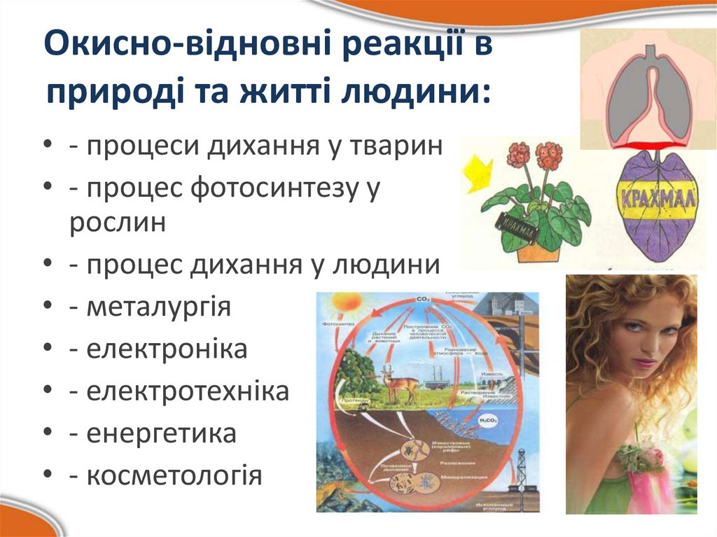 Окисно-відновні реакції в природі та житті людини: