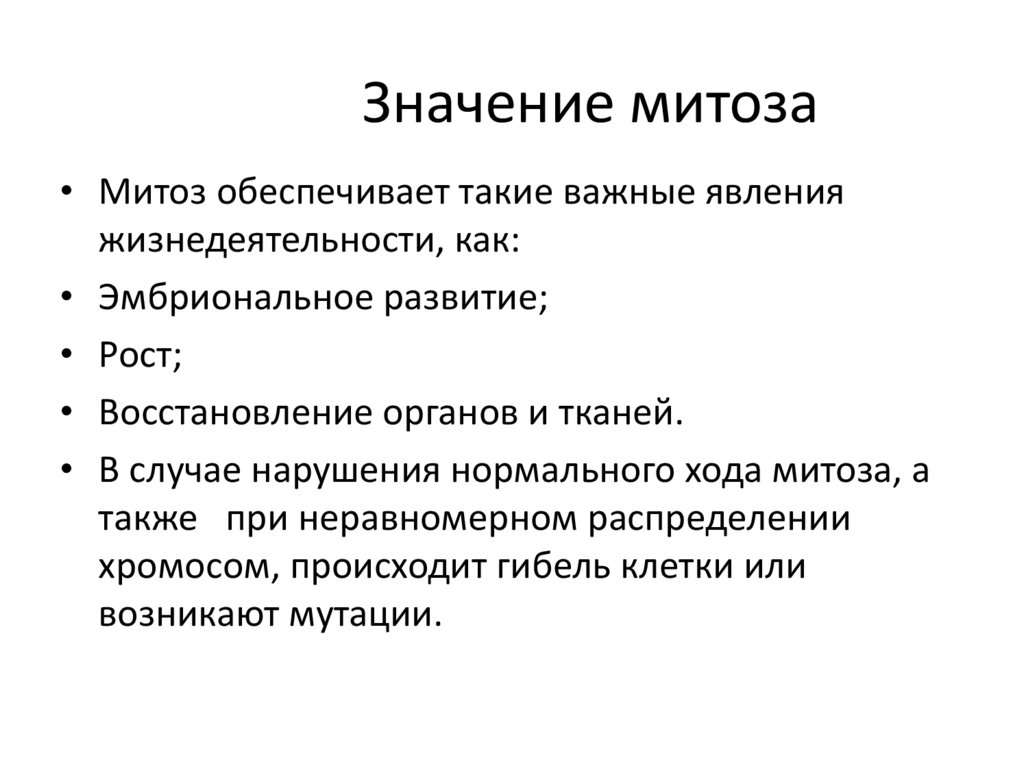 Значение митоза