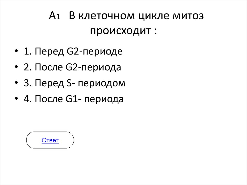А1 В клеточном цикле митоз происходит :