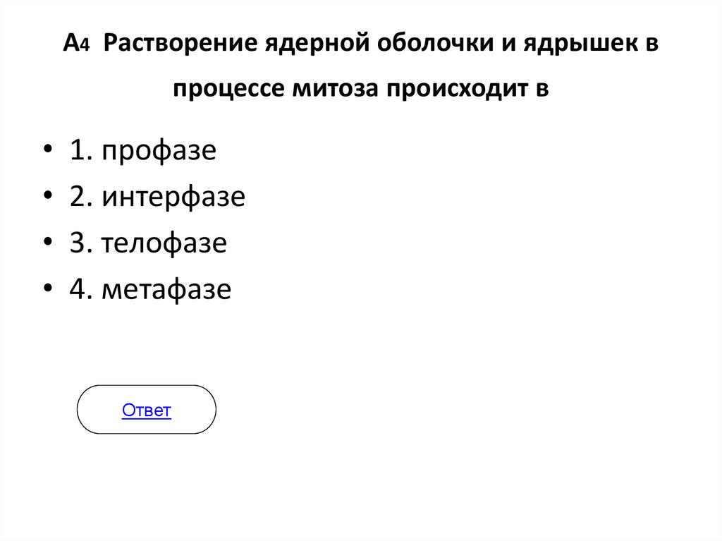 А4 Растворение ядерной оболочки и ядрышек в процессе митоза происходит в