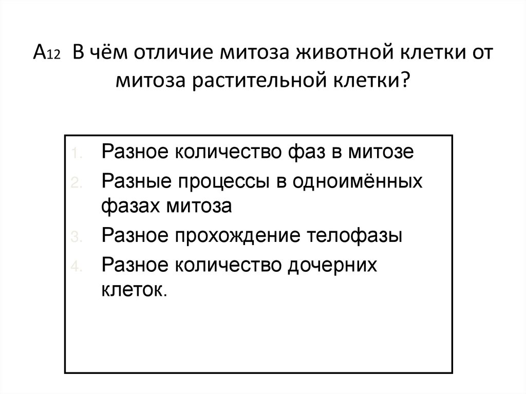 А12 В чём отличие митоза животной клетки от митоза растительной клетки?