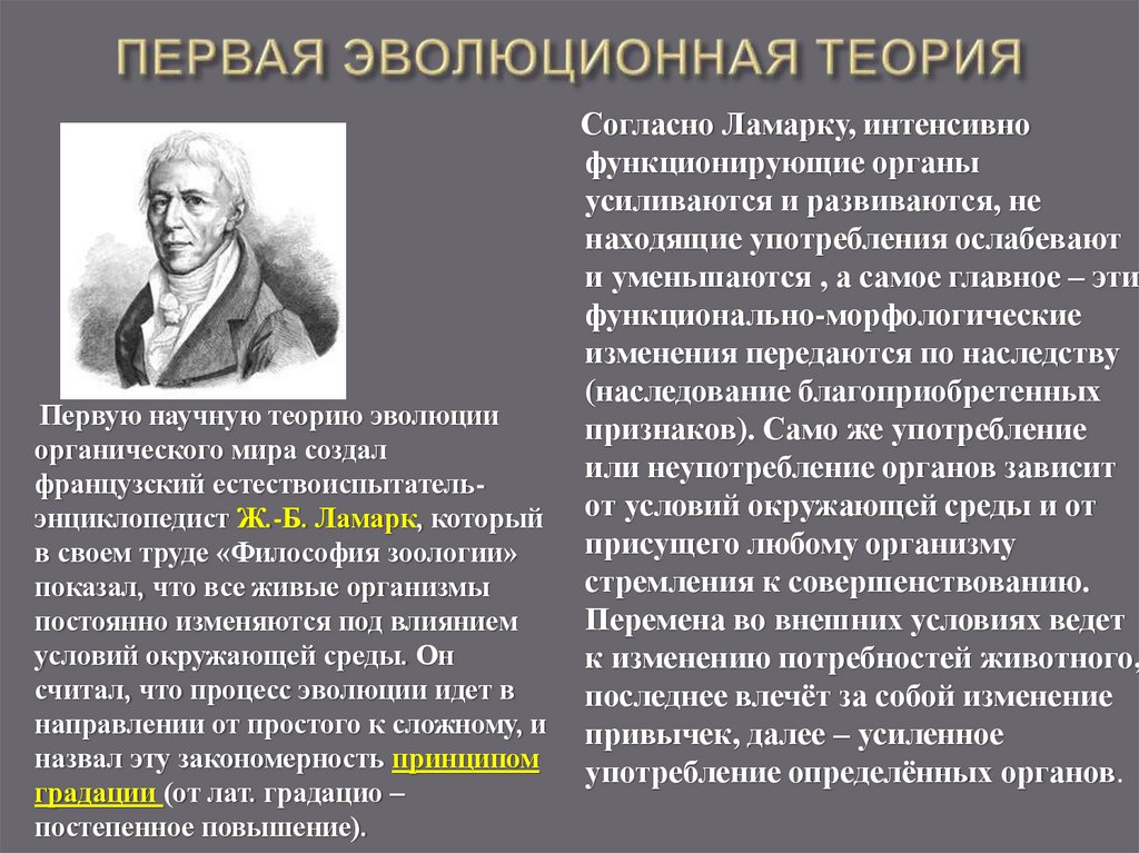 ПЕРВАЯ ЭВОЛЮЦИОННАЯ ТЕОРИЯ