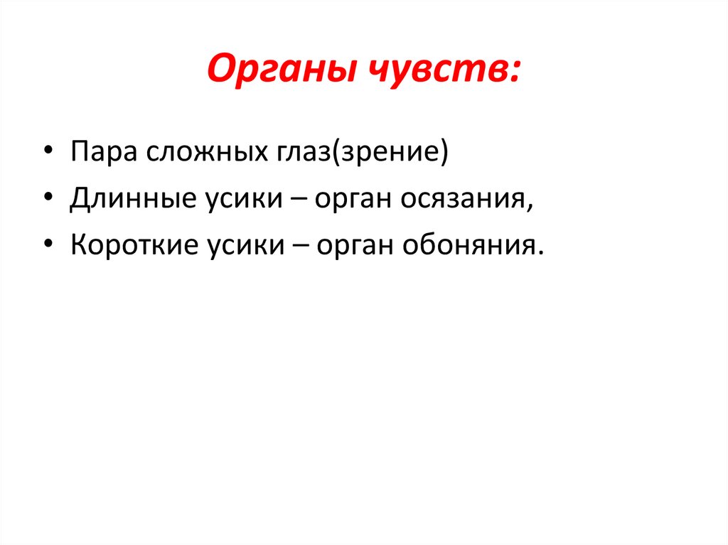 Органы чувств: