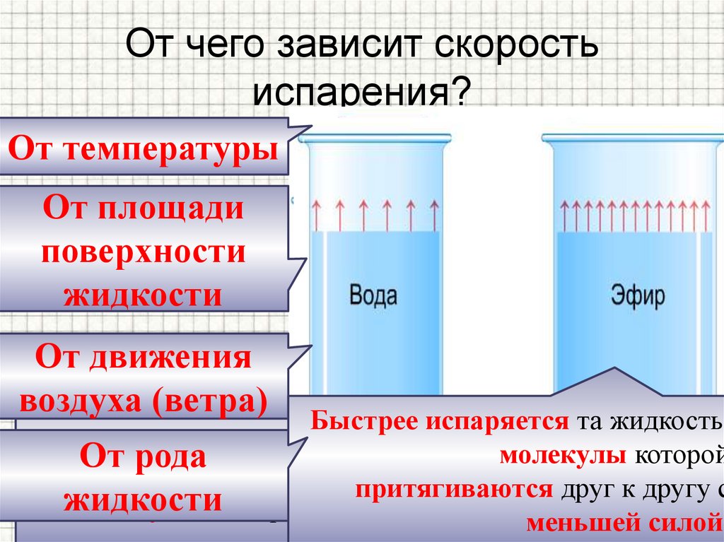 От чего зависит скорость испарения?