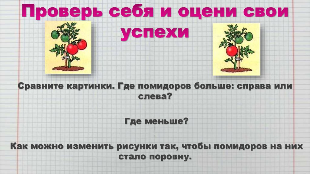 Проверь себя и оцени свои успехи