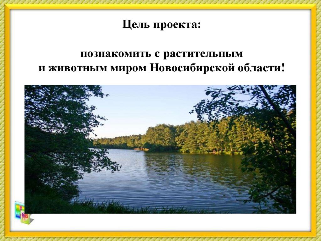Цель проекта: познакомить с растительным и животным миром Новосибирской области!