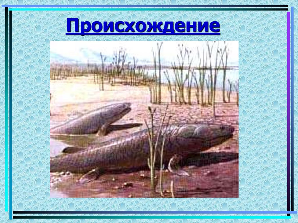 Происхождение