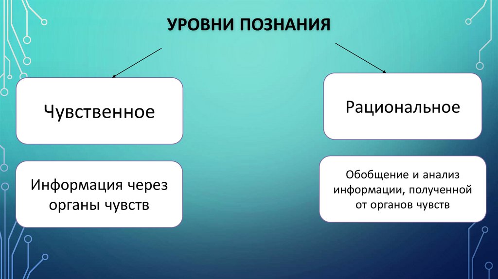 Уровни познания