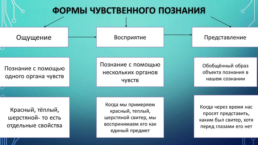 Формы чувственного познания