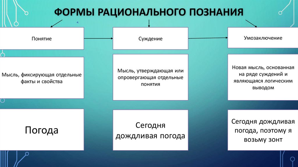 Формы рационального познания