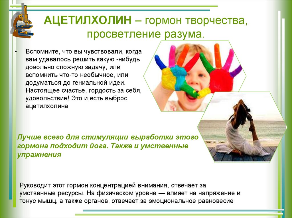 АЦЕТИЛХОЛИН – гормон творчества, просветление разума.