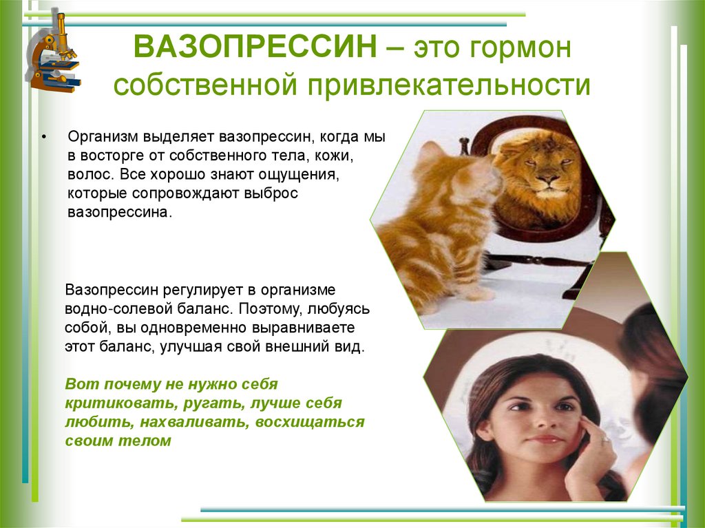 ВАЗОПРЕССИН – это гормон собственной привлекательности