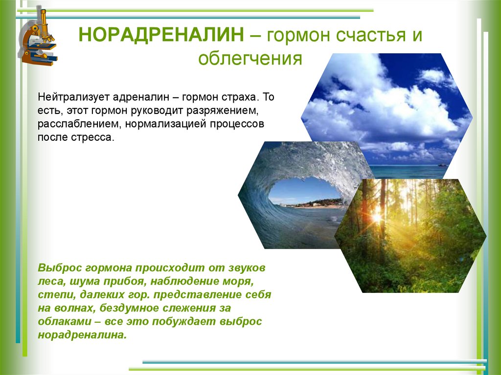 НОРАДРЕНАЛИН – гормон счастья и облегчения