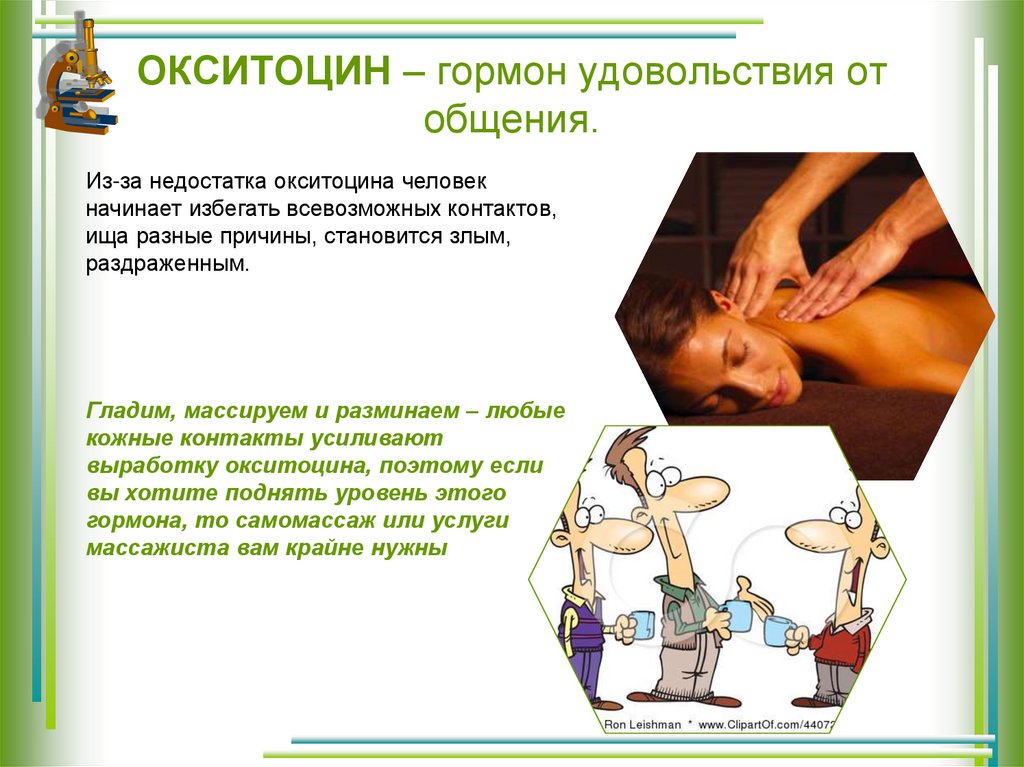 ОКСИТОЦИН – гормон удовольствия от общения.