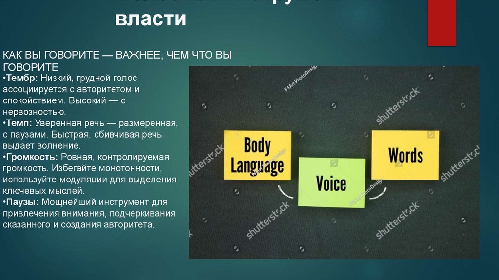  Голос как инструмент власти