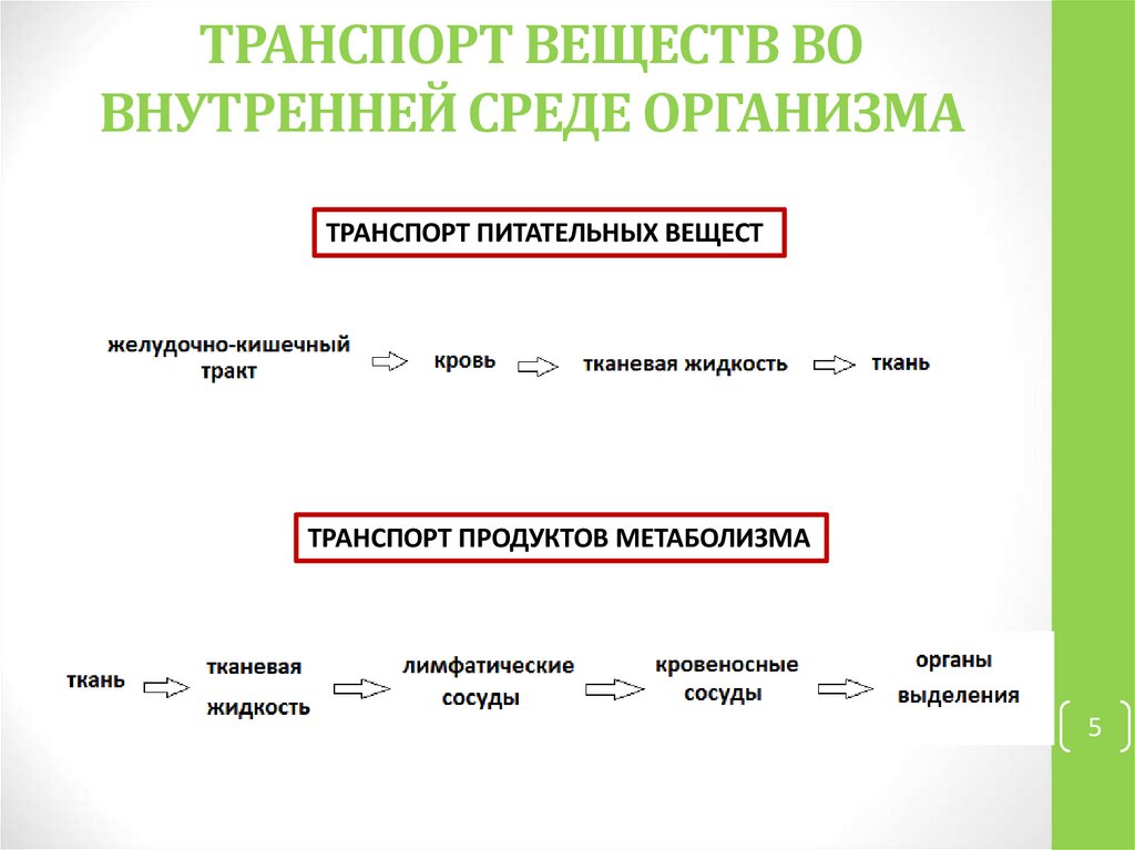 ТРАНСПОРТ ВЕЩЕСТВ ВО ВНУТРЕННЕЙ СРЕДЕ ОРГАНИЗМА