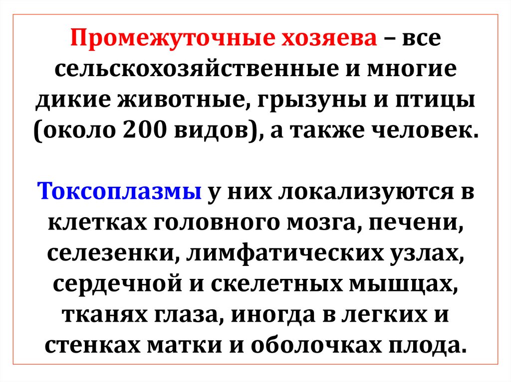 Промежуточные хозяева – все сельскохозяйственные и многие дикие животные, грызуны и птицы (около 200 видов), а также человек.