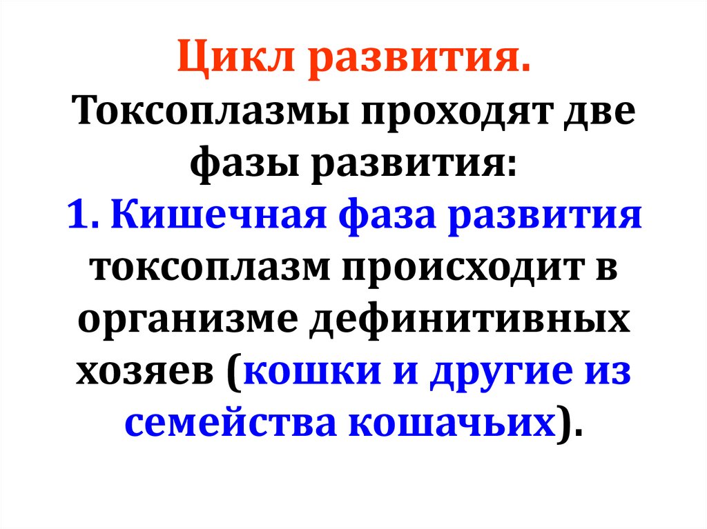 Цикл развития. Токсоплазмы проходят две фазы развития: 1. Кишечная фаза развития токсоплазм происходит в организме дефинитивных
