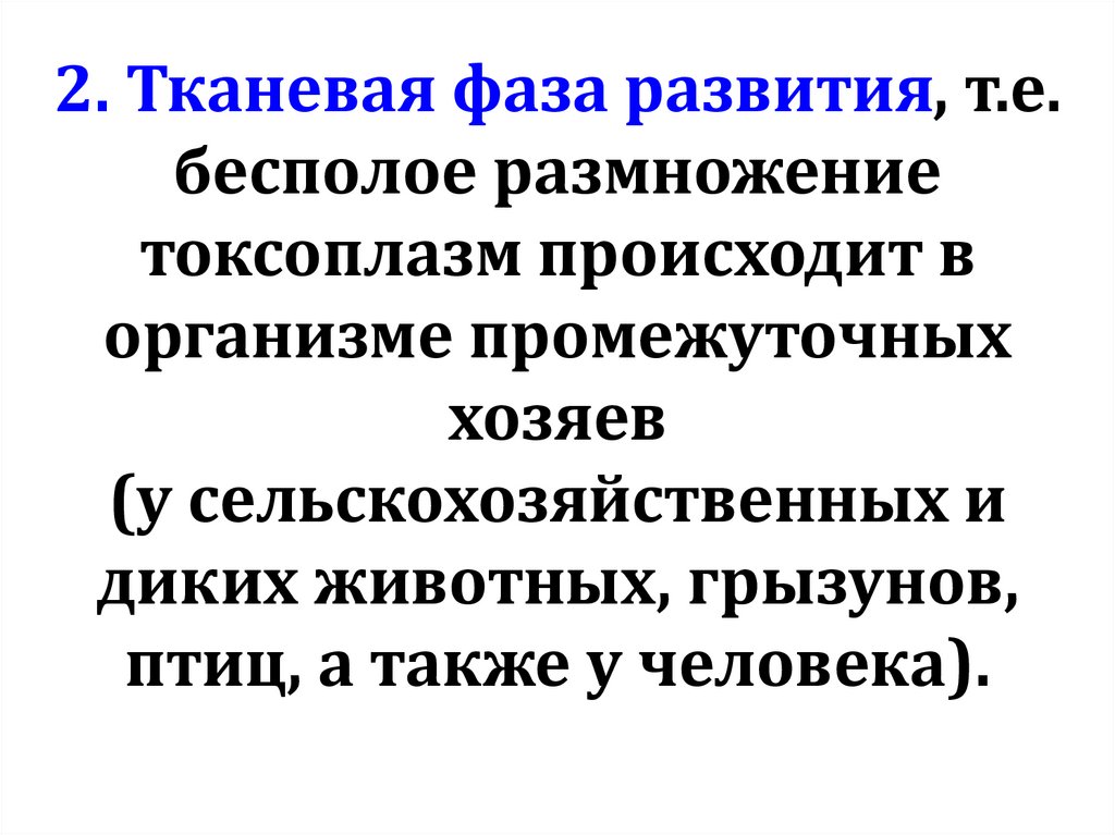 2. Тканевая фаза развития, т.е. бесполое размножение токсоплазм происходит в организме промежуточных хозяев (у