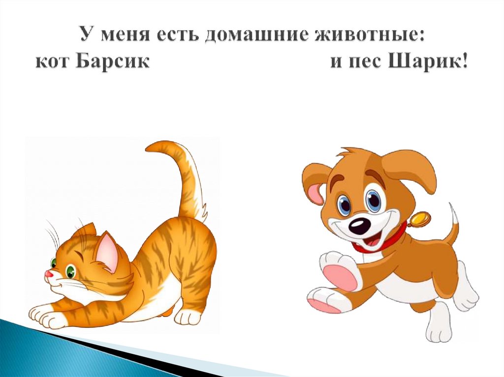 У меня есть домашние животные: кот Барсик и пес Шарик!