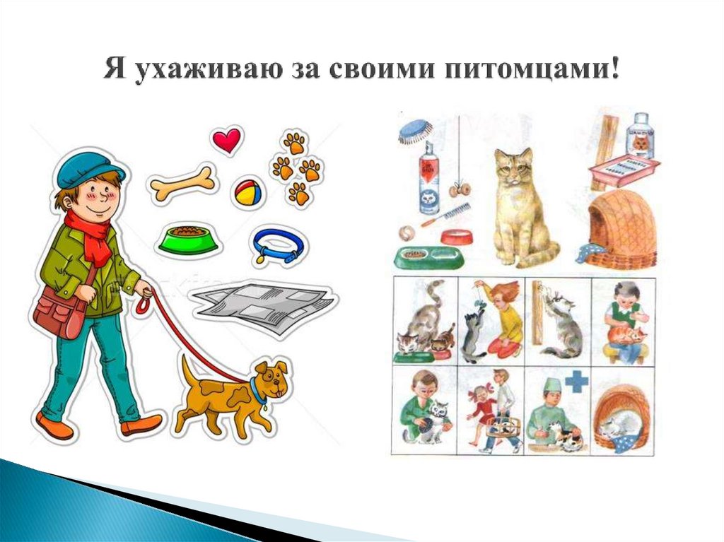 Я ухаживаю за своими питомцами!