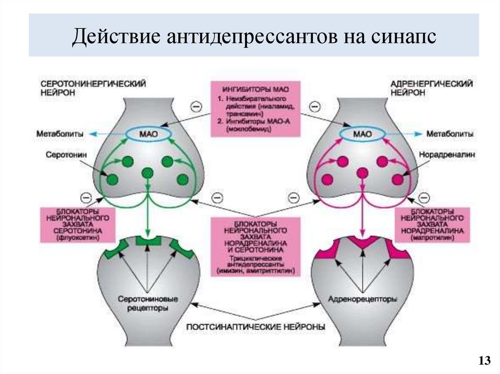 Действие антидепрессантов на синапс